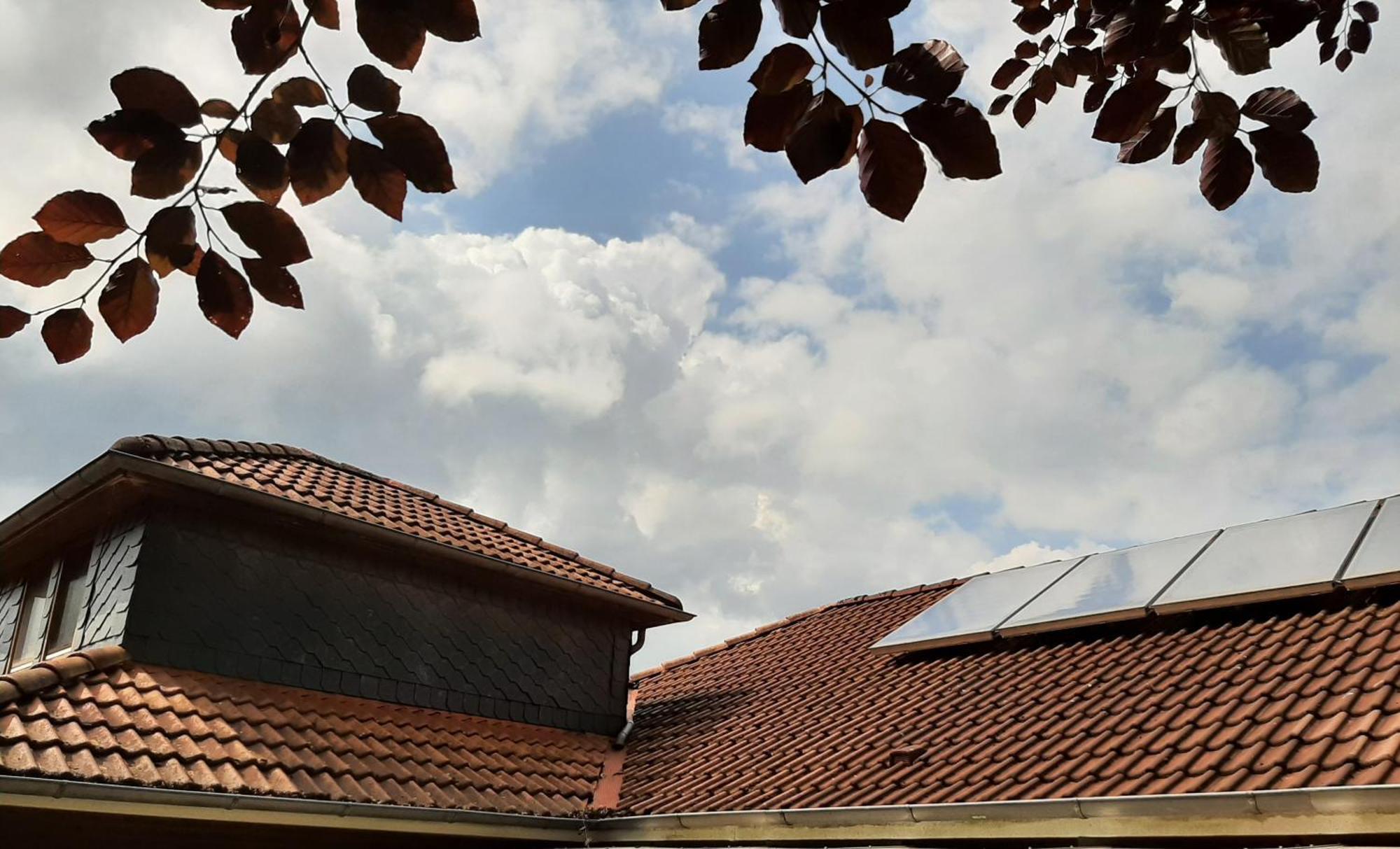Ferienwohnung Sidro Schortens Exterior foto